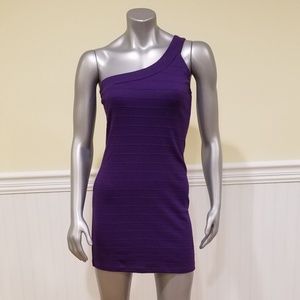 Basic House Asymmetrical Dress Purple {Medium}